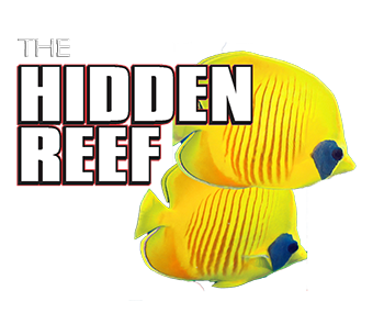 The Hidden Reef