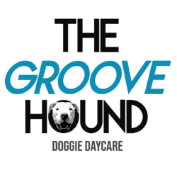 The Groove Hound Dog Grooming & Daycare